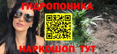 а пвп мука Ачхой-Мартан