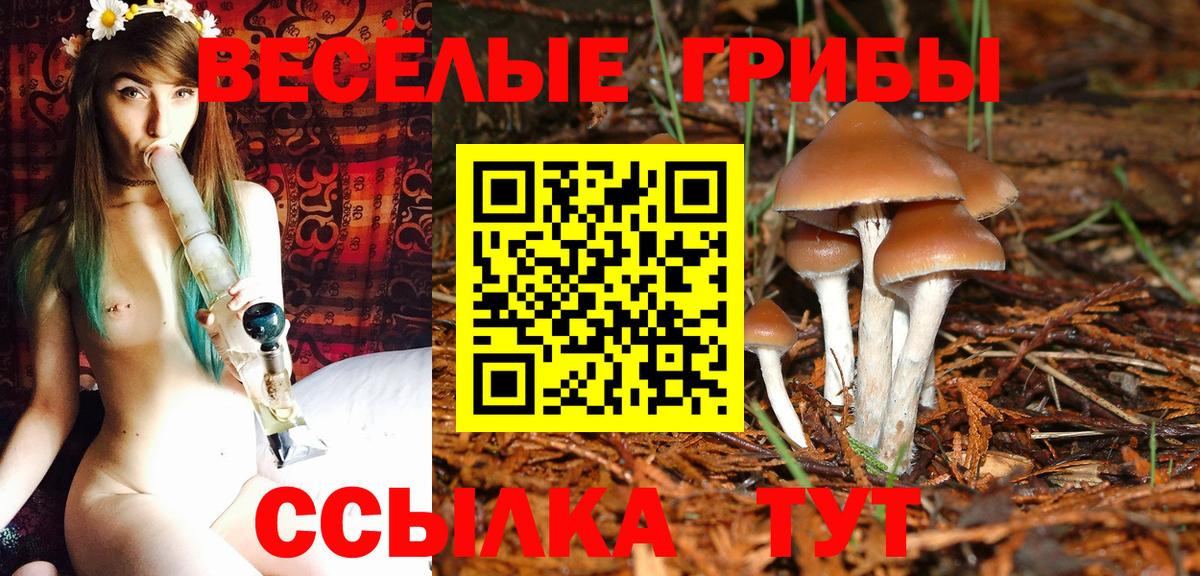 Верхняя Пышма  как найти закладки  Вход с VPN  Галлюциногенные грибы MAGIC MUSHROOMS  Псилоцибиновые грибы мухоморы 