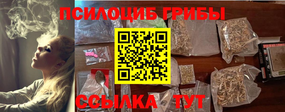 Псилоцибиновые грибы MAGIC MUSHROOMS Верхняя Пышма
