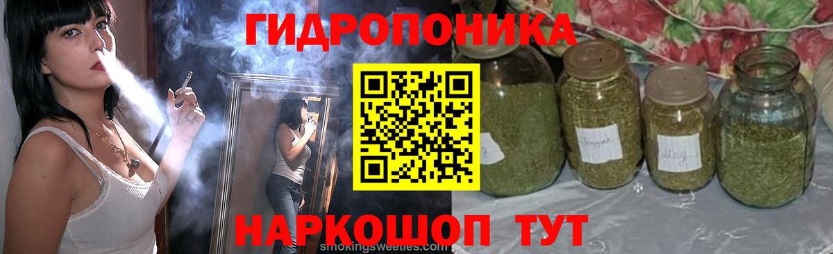 Бошки марихуана планчик  Вход с VPN  Бошки марихуана тримм  Верхняя Пышма 